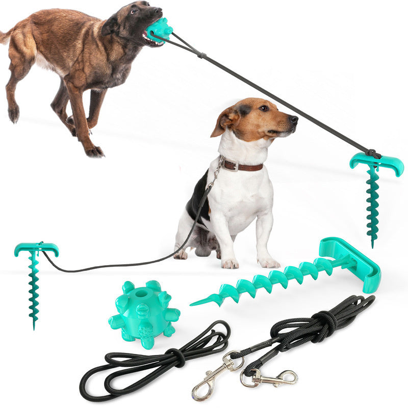2 in 1 Dog Leash & Toy